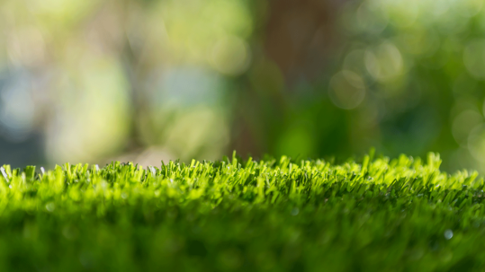 Quality artificial grass